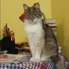 Отзыв от Нелли Зиновьева